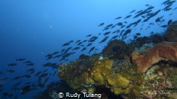 going up? by Rudy Tulang 